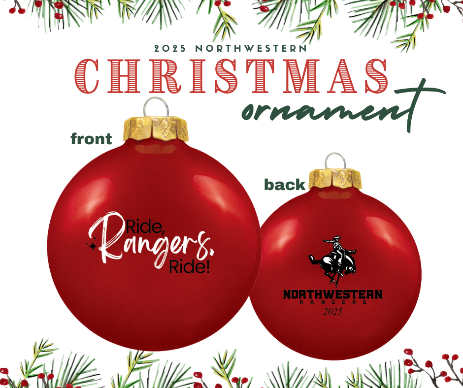 2025 Christmas ornament.png